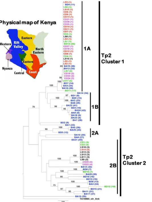 Table S1). This was also the case for BA9, 18 and 23 although they carried different Tp1 alleles