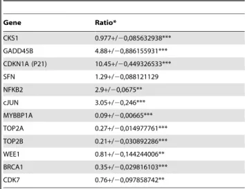 Table 4. Validation by Q-PCR of the gene expression profile in MYBBP1A-depleted HeLa cells