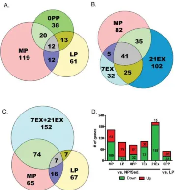 Figure 2. EX groups share gene regulation with MP. Venn diagrams of genes regulated A) during pregnancy, B) during MP, 7EX, and 21EX, C) during exercise, MP, and LP (all compared to NP/Sed