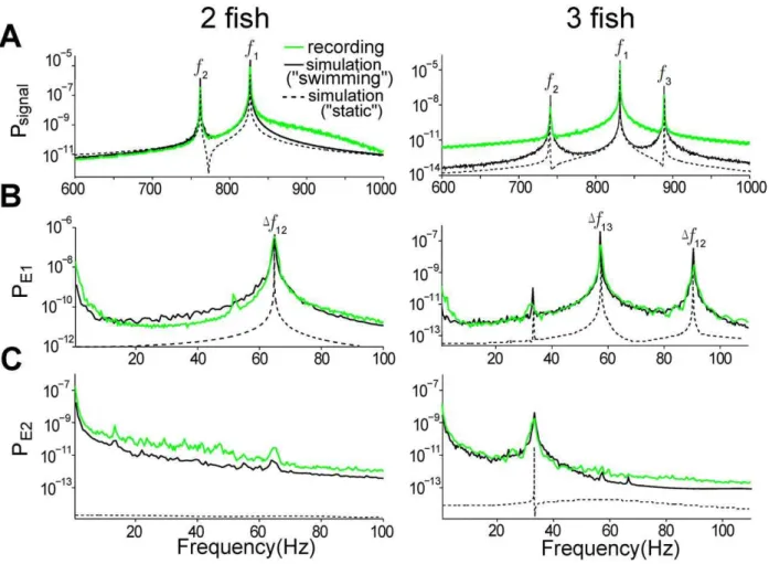 Figure 4. Spectral analysis of sensory signals and their envelopes. Power spectral densities (PSD) of the signal recorded at the receiving fish (A), and its envelopes E1 (B) and E2 (C) from 12-second recordings (green) and the simulated signal (black) for 