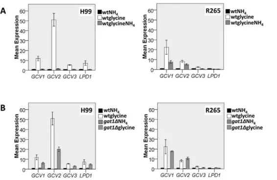 Figure 3. Comparison of expression levels of the genes encoding glycine cleavage enzymes in H99 and R265