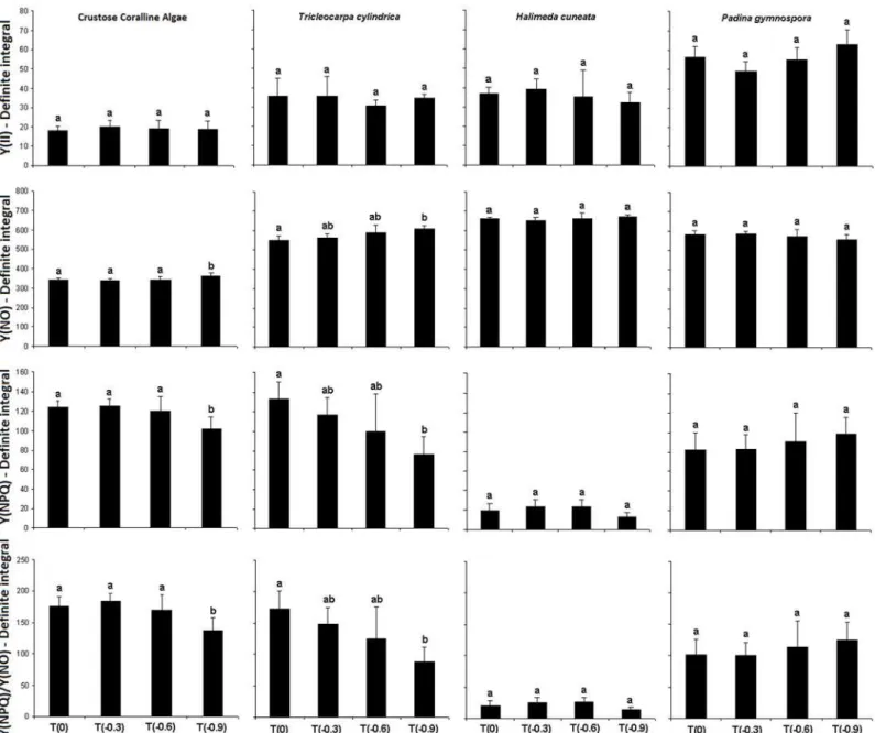 Fig 1. Definite integrals of Effective Quantum Yield (Y(II)) and the dissipative parameters Y(NO), Y(NPQ) e Y(NPQ)/Y(NO) obtained from the studied macroalgae species after 24 days of exposition to different acidification treatments (n = 4 ± SD)