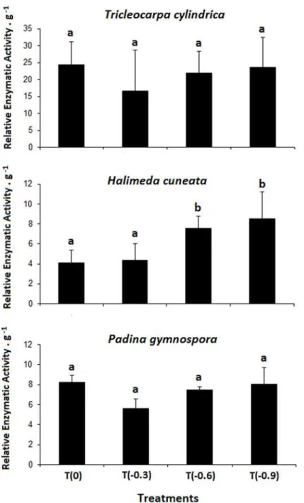 Fig 2. Relative Enzymatic Activity of Carbonic Anhydrase obtained from the studied macroalgae species after 24 days of exposition to different acidification treatments (n = 4 ± SD)