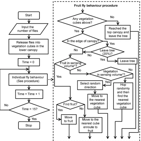 Fig 1. The algorithm flowchart. The algorithm flowchart of generic individual-based spatially explicit fruit fly model for movement within a simulated tree canopy with fruit present
