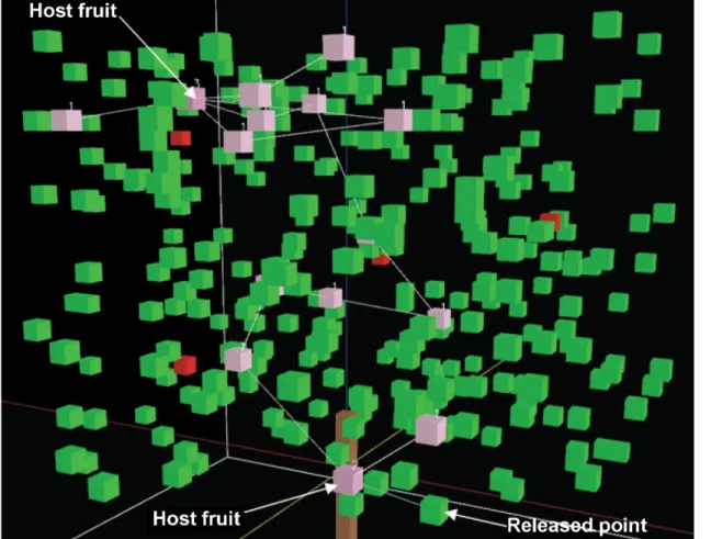 Fig 3. Simulation of individual fly movement through a closed-canopy. Pink cubes show where the fly has already visited with the number of visits, green cubes represent leaves without visits and red cubes represent host fruit without visits