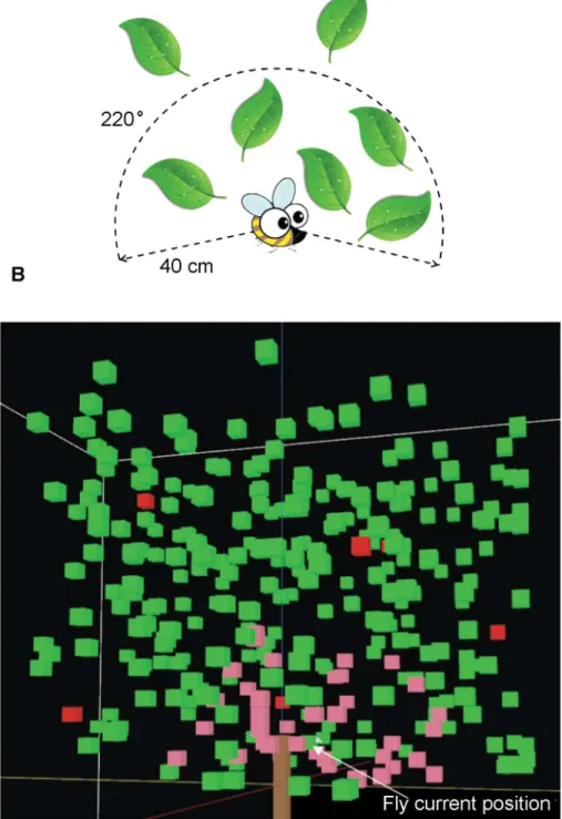 Fig 4. Examples of the sensing volume of an individual fly. A: the 2D representation of sensing volume for an individual fruit fly with 40 cm detection radius and 220° sensing angle