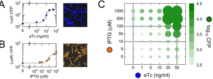 Fig. 3A) and 7 different LuxR::YFP levels (varying IPTG in the range 0–1000 m M; Fig. 3B)