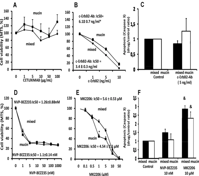 Fig 5. Effect of Epidermal growth factor receptor (EGFR) antagonists and PI3-kinase/AKT inhibitors on proliferation and apoptosis of mucin and mixed CCA primary cultures
