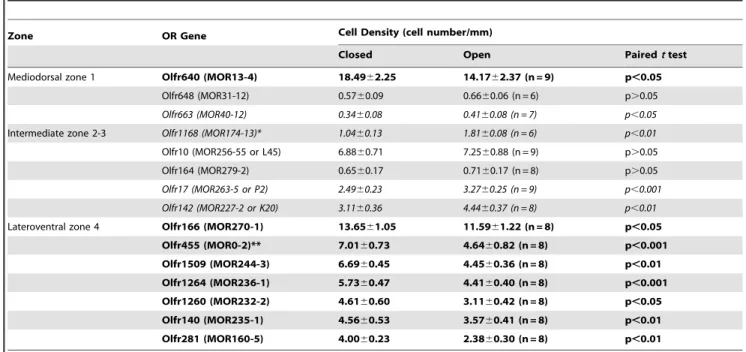 Table 2. Naris closure induces higher expression levels in the closed side for most OR genes expressed in the lateroventral zone 4.