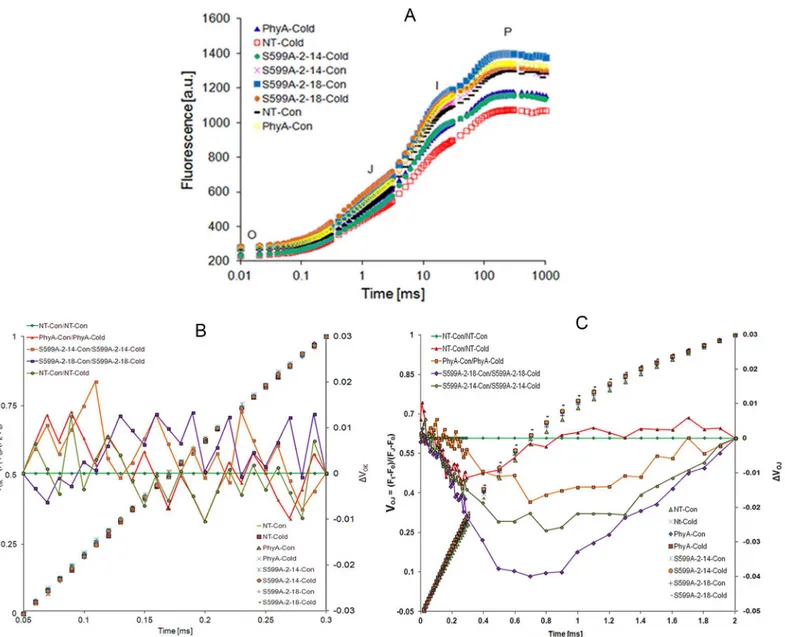 Fig 4. A. Chlorophyll-a fluorescence kinetics of the OJIP curve of dark-adapted leaves of zoysiagrass plants.Transient curves of each line represent the average of 15 measurements per treatment