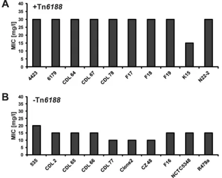 Figure 3.  Benzalkonium chloride MICs of L. monocytogenes strains.  BC MICs of ten L. monocytogenes strains with (+Tn6188, A) and without (-Tn6188, B) Tn6188 are shown