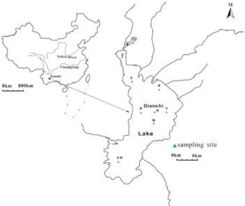 Fig. 1. A map showing the location of the study area and the sam- sam-pling sites.
