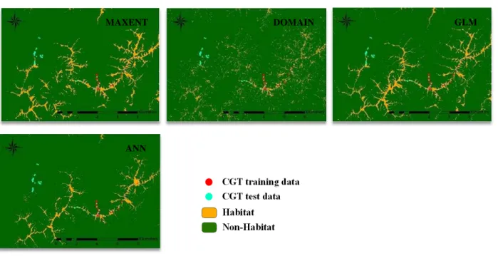 Figure 4. Sampling design 1: four models for mapping the potential habitat of CGTs in the study area 
