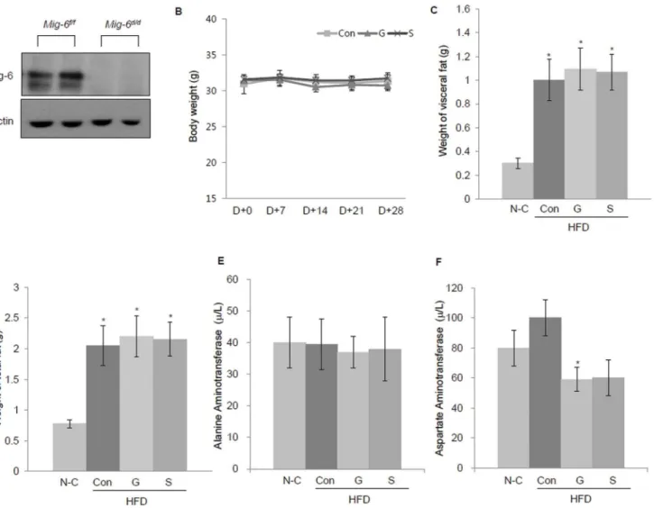 Fig. 1. Generation of conditional ablation of Mig-6 in the liver and impact of gefitinib on adipose tissue and liver enzymes in Mig-6 d/d mice