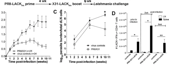 Figure 5. Boosting with serologically distinct recombinant virus increases protective potency and longevity of IFN-c response
