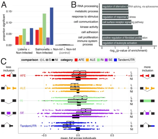 Fig 2. RNA processing changes in response to bacterial infection. (A) Proportion of events for RNA processing category that are significantly changing after infection with Listeria (left), Salmonella (middle), or variation between non-infected samples as a