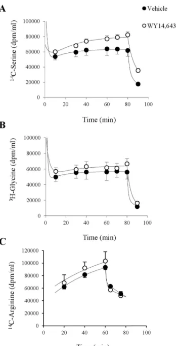 Fig. 3. Normalised plasma concentrations of 14 C-serine (A), 3 H-glycine (B) and 14 C-arginine (C) during intravenous infusion