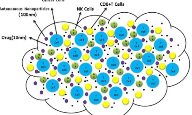 Figure 1: cancer cells, immune cells, drugs and autonomous nanoparticles illustration