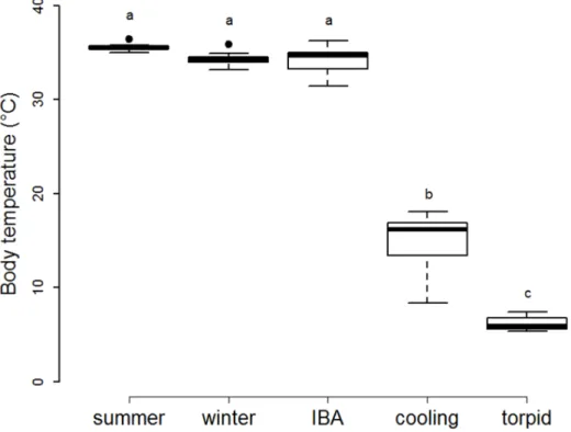 Figure 1. Body temperatures according to the animal physiological states. Body temperatures of summer hamsters (‘‘summer’’, n = 7), non- non-hibernating winter hamsters (‘‘winter’’, n = 7), and non-hibernating hamsters during inter-bout arousal (‘‘IBA’’, n