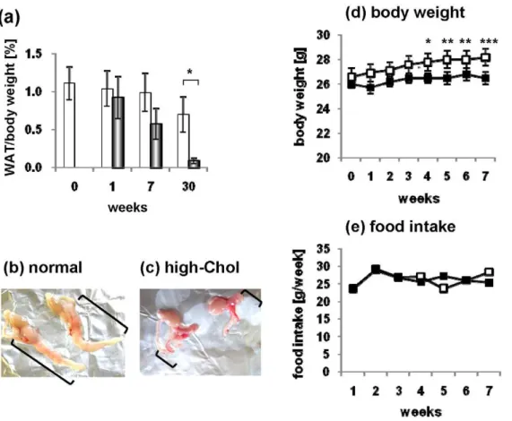 Figure 2. Effects of the high-Chol diet on apoE-KO mice. (a) The weights of the epididymal white adipose tissues (WAT) in apoE-KO mice fed normal chow (white bar) or the high-Chol diet (black bar) for up to 30 weeks were measured (n = 3–5 for each group)
