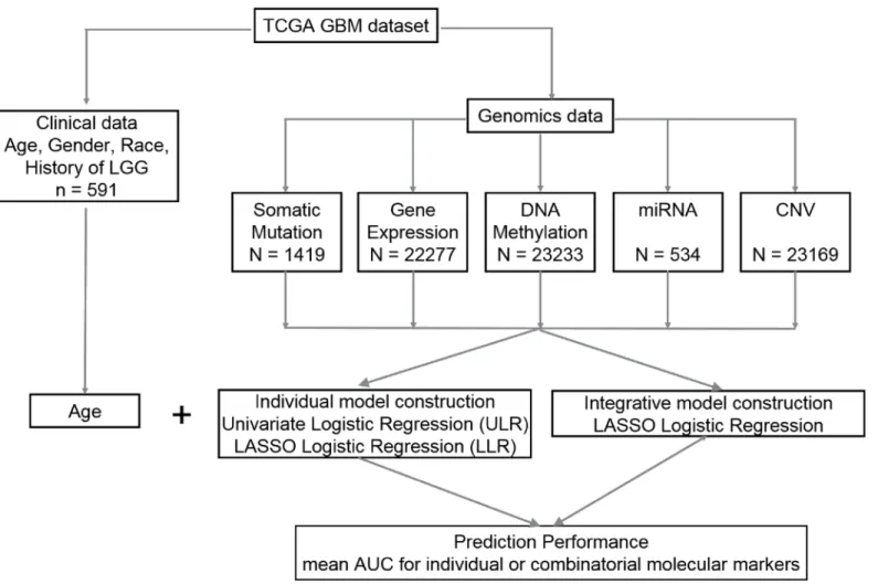 Fig 1. Flow chart with a schematic of the data analysis pipeline used in this study.