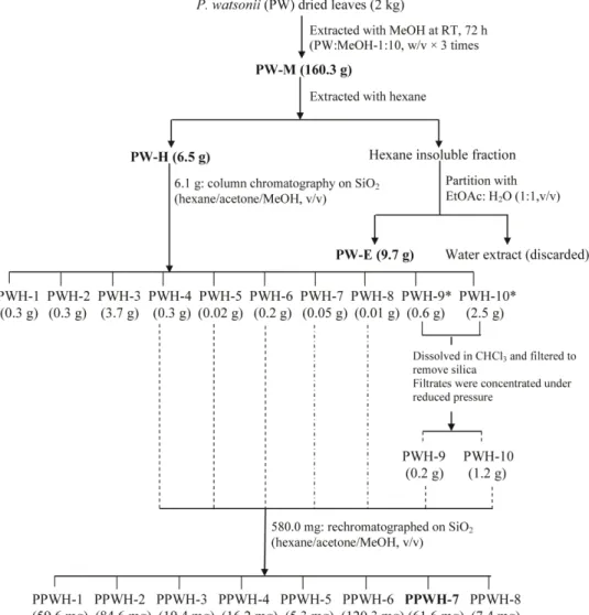 Figure 2. Flow chart of extraction procedure for P. watsonii . doi:10.1371/journal.pone.0034793.g002