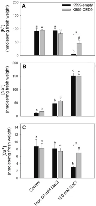 Figure 4. Ced-9 affects ion relationship during hairy roots death-inducing stress conditions
