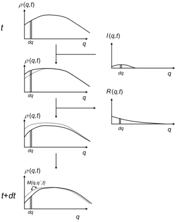 Fig. 1. Changes to the quality distribution of the model in Eq. (2) during a time step