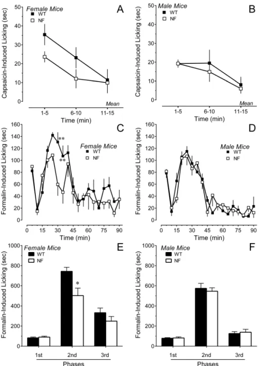 Figure 6A illustrates levels of CGRP mRNA in the DRG of Nf1 +/2 mice and their WT littermates