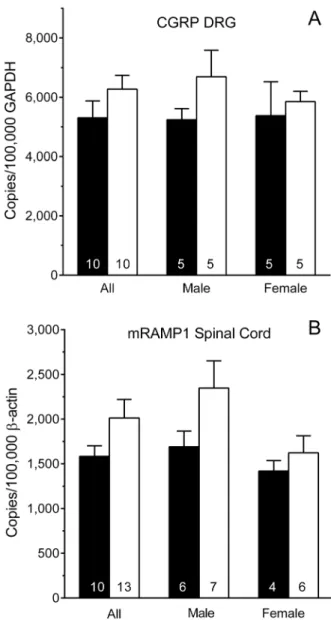 Figure 6. Levels of CGRP mRNA and RAMP1 mRNA. (A) Levels of CGRP mRNA in the dorsal root ganglion (DRG) of Nf1 + / 2 and WT mice did not differ by genotype or gender
