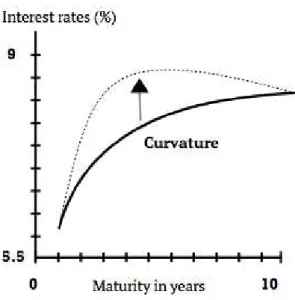Fig. 1. Curvature in yield curve 