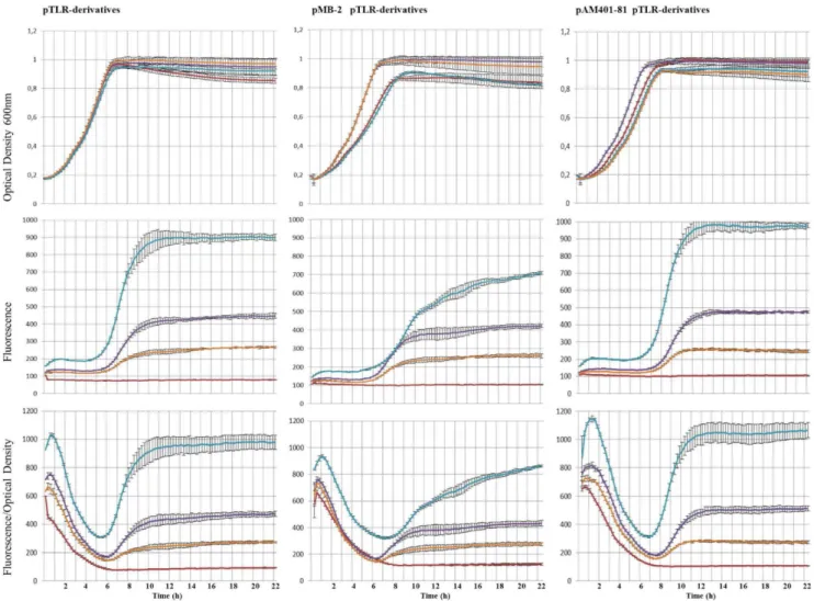 Figure S1 Antibacterial activity of JH2-2(pAM401-81) and JH2- JH2-2(pMB-2) against JH2-2 used as indicator strain.