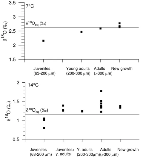 Fig. 4. The uppermost panel (A) shows δ 18 O values at 7 ◦ C and the lower panel (B) for 14 ◦ C for the different size classes, together with the equilibrium calcite line for each temperature.