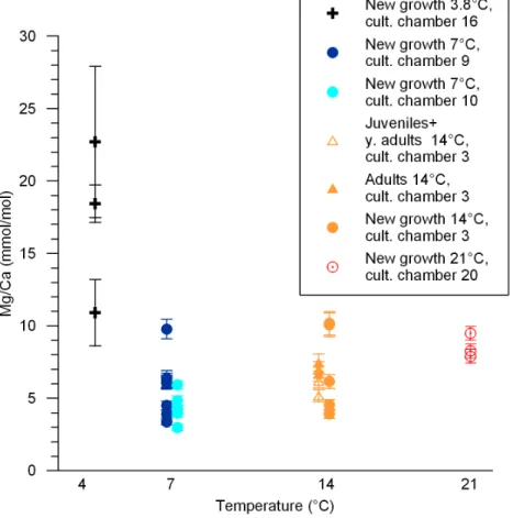 Fig. 5. Mg/Ca (mmol/mol) over the experimental temperature gradient, presented by sample type (new growth and size classes)