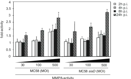 Figure 5. HBMEC were incubated with MC58 and MC58 siaD using indicated concentration of bacteria (MOIs of 10, 30 and 500) and matrix metalloproteinase (MMP)-8 activity was measured in supernatants collected from infected HBMEC at 2, 4, 8, and 24 h p.i.