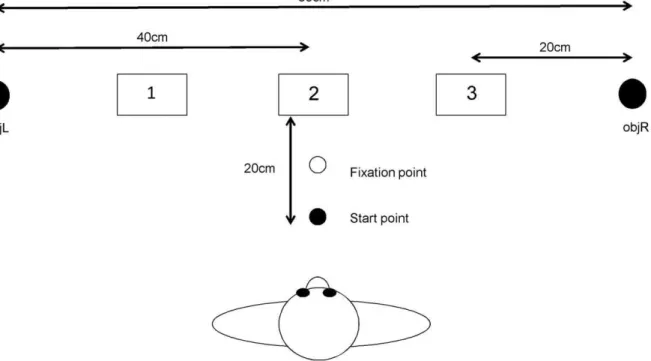Figure 1. Diagram of experimental setup. Shows the layout of the objects and trays. Participants would start each trial with their hands resting on the start point and looking at the fixation point until one of the trays lit up