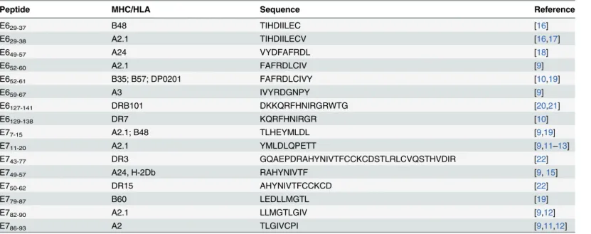 Table 1. E6 and E7 epitopes used to assemble in the E6E7 protein.