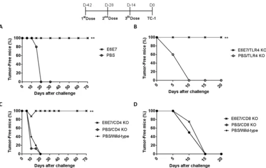 Fig 2. Anti-tumor responses elicited in mice immunized with E6E7 multi-epitope protein
