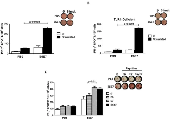 Fig 4. Induction of antigen-specific IFN-γ secretion responses in mice immunized with E6E7