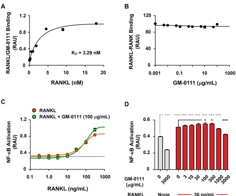 Fig 6. GM-0111 inhibits osteoclast formation independent of RANKL-RANK interaction. GM-0111 binds to RANKL with high affinity (K D = 3.29 nM) (A), but does not inhibit the interaction between RANKL and its receptor RANK (B) (n = 3)