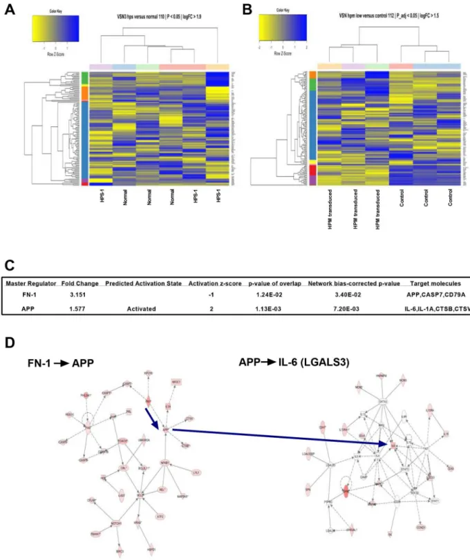 Fig 6. Differential gene expression and statistically significant networks. A) Heat map display of the strongest, differentially expressed genes measured in HPS-1 HuMCs compared with normal HuMCs; B) Heat map display of mock transduced (control) versus HPS