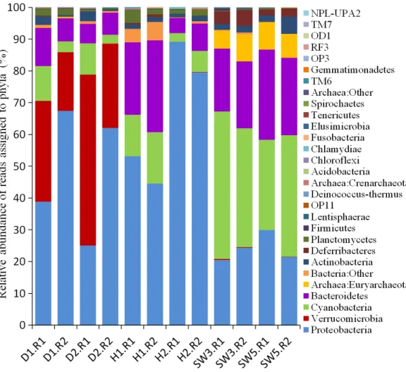 Figure 2 Taxonomic classification of microbial reads in sponges and seawater at the phylum level
