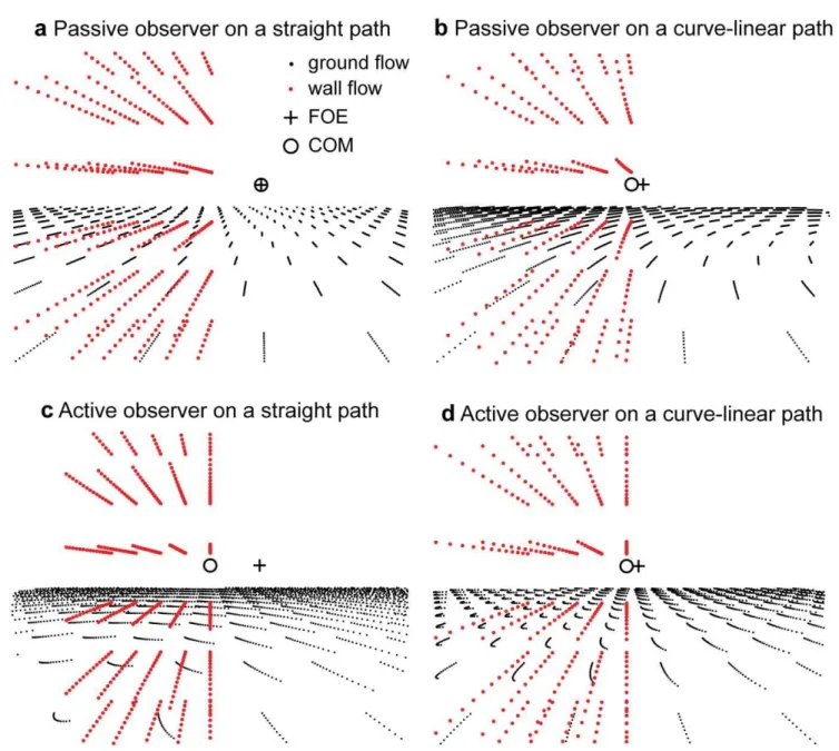 Figure 9. Display of image flows for a passive and an active observer. a) Translational flow for an observer moving along a straight path on a ground plane (black traces) and a pseudo-transparent object (red traces) that stands on this plane