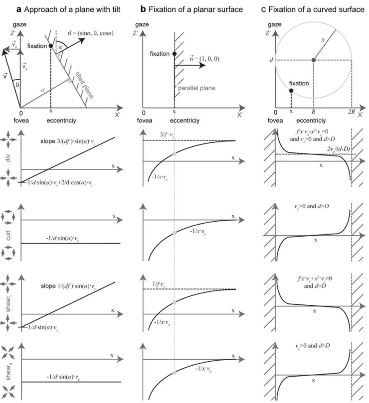 Figure 5. Response for flow divergence, curl, and shear get infinitely large if fixating tangentially