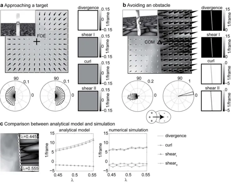 Figure 6. Display of flow and flow derivative components for the central five degrees of the visual field