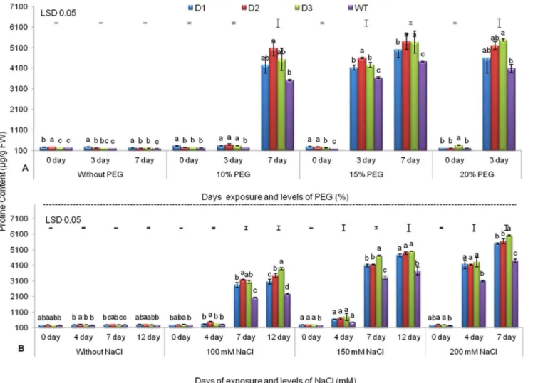 Fig. 1. Proline Content of three transgenic lines and WT. Under various levels of PEG (A) and NaCl (B) with increasing days of stress exposure