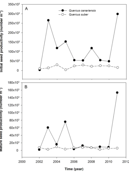 Fig. 1. Inter-annual variability in seed production for the two studied oak species (Quercus canariensis with solid lines and Q