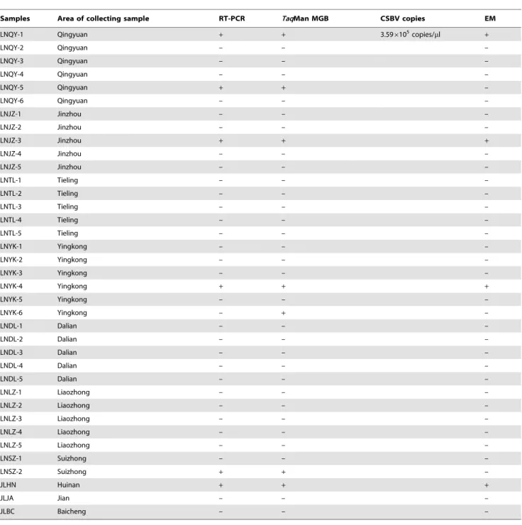 Table 2. Detection of 37 Chinese sacbrood virus (CSBV) clinical samples: of TaqMan minor groove binder (MGB) probe fluorescence real-time quantitative PCR, reverse transcriptase polymerase chain reaction (RT-PCR) and electron microscopy methods.