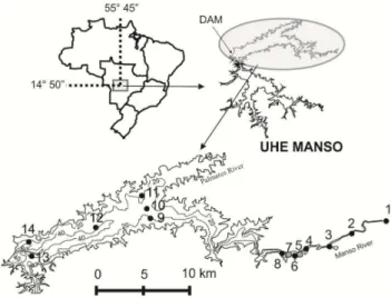 Fig. 1. Study area and bathymetry of Manso reservoir with con- con-tours at 20-m intervals