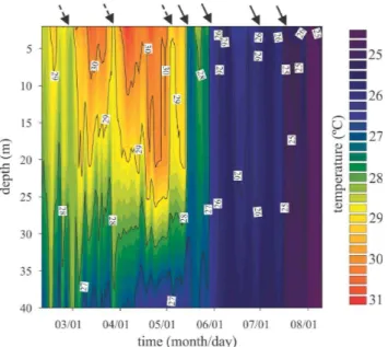 Fig. 4. Temporal evolution of the thermal structure (upper panel) and the Wedderburn and Lake numbers (lower panel) at Station 13.